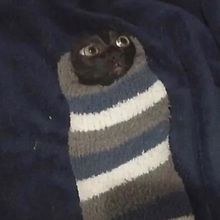 M G