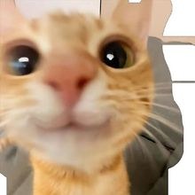 Arthmo