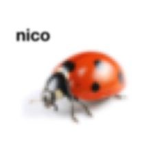 Nico