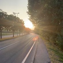 Sava