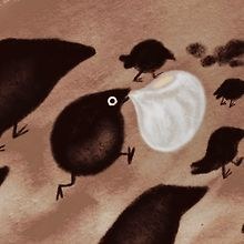 Poop