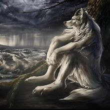 Trebula