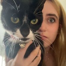 avacat
