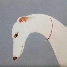 PonyOak