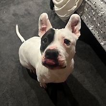 maddy