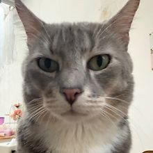 Ben