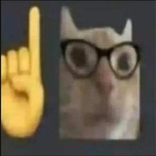 Pedro