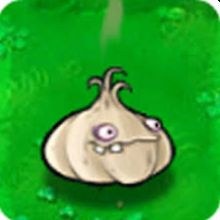 ericveg