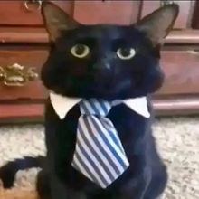 Dinie Zahkaria