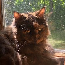 Sam
