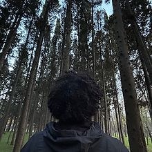Anas