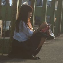 Pipr
