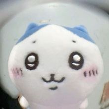 Lee