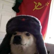 Potato88