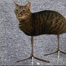 bbb