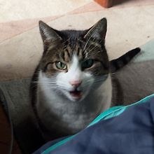 Floortje