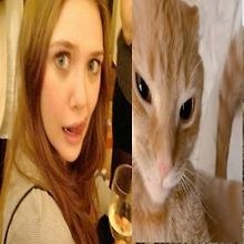 Jo