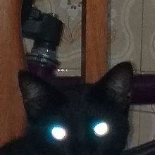 casinfj