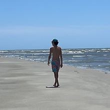Will Vaughn