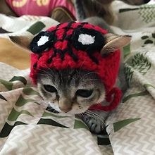charlie