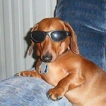 Sirchuges