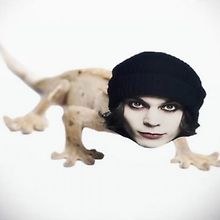 Tim