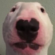 Hannah