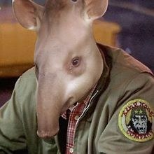 Paul