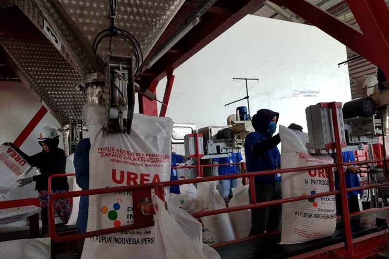 Pupuk urea yang diproduksi Pupuk Indonesia