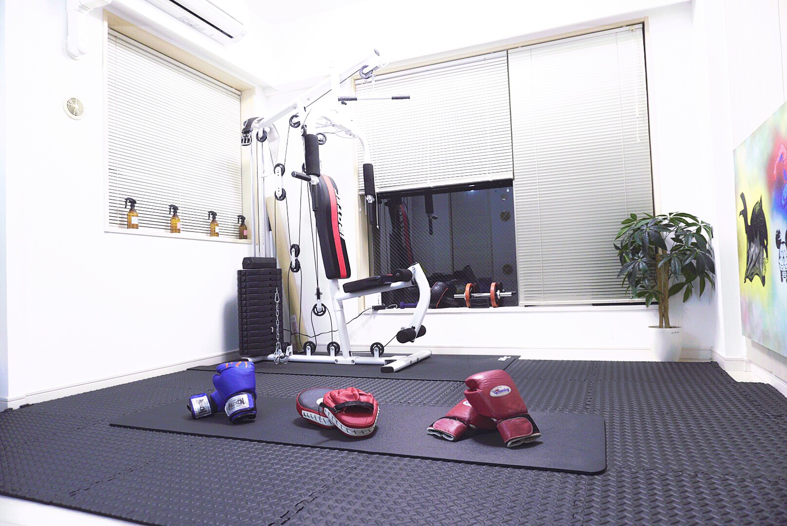 THE PERSONレンタルジム西新宿5丁目 ACTION STYLEの内観