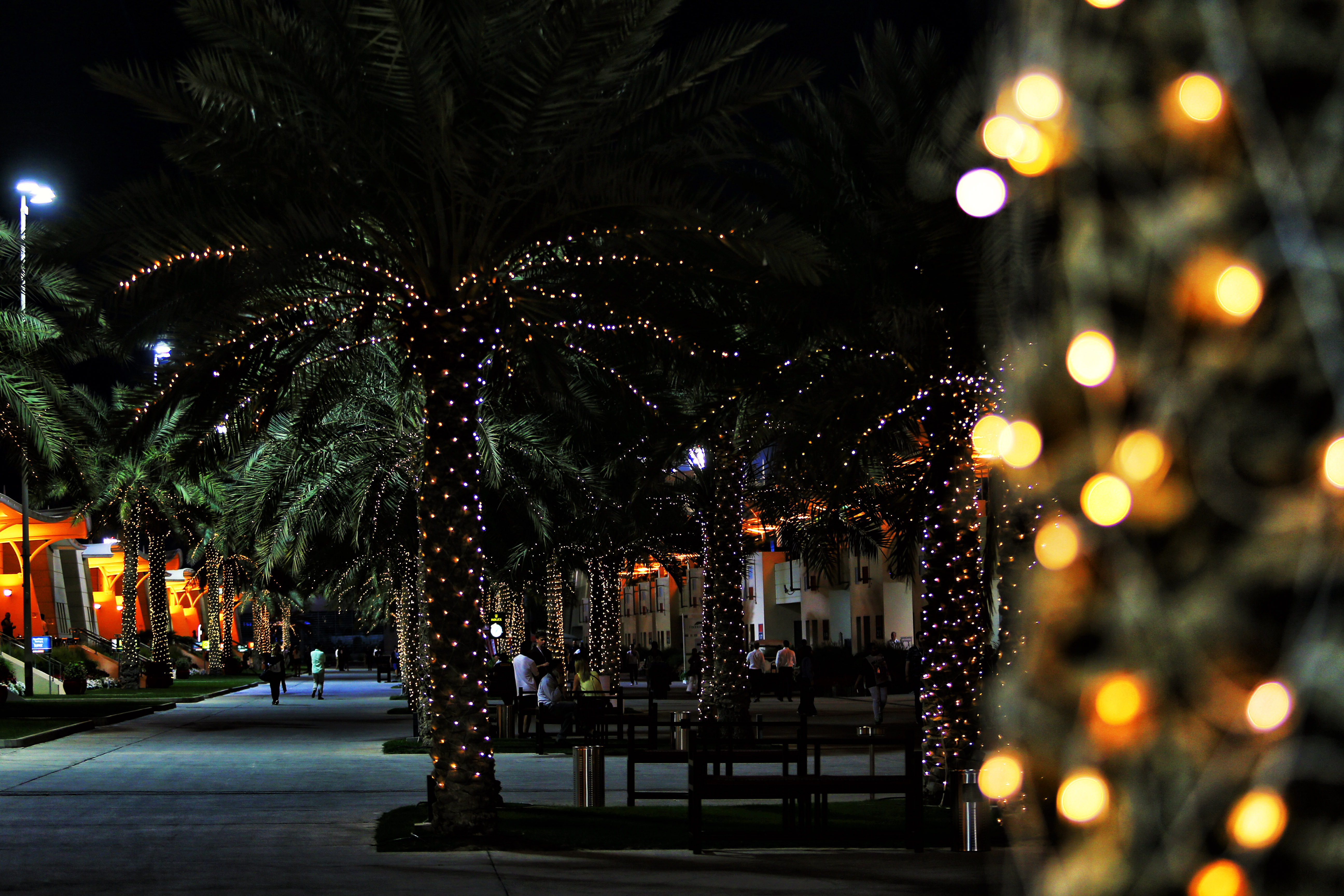 Bahrain Grand Prix paddock