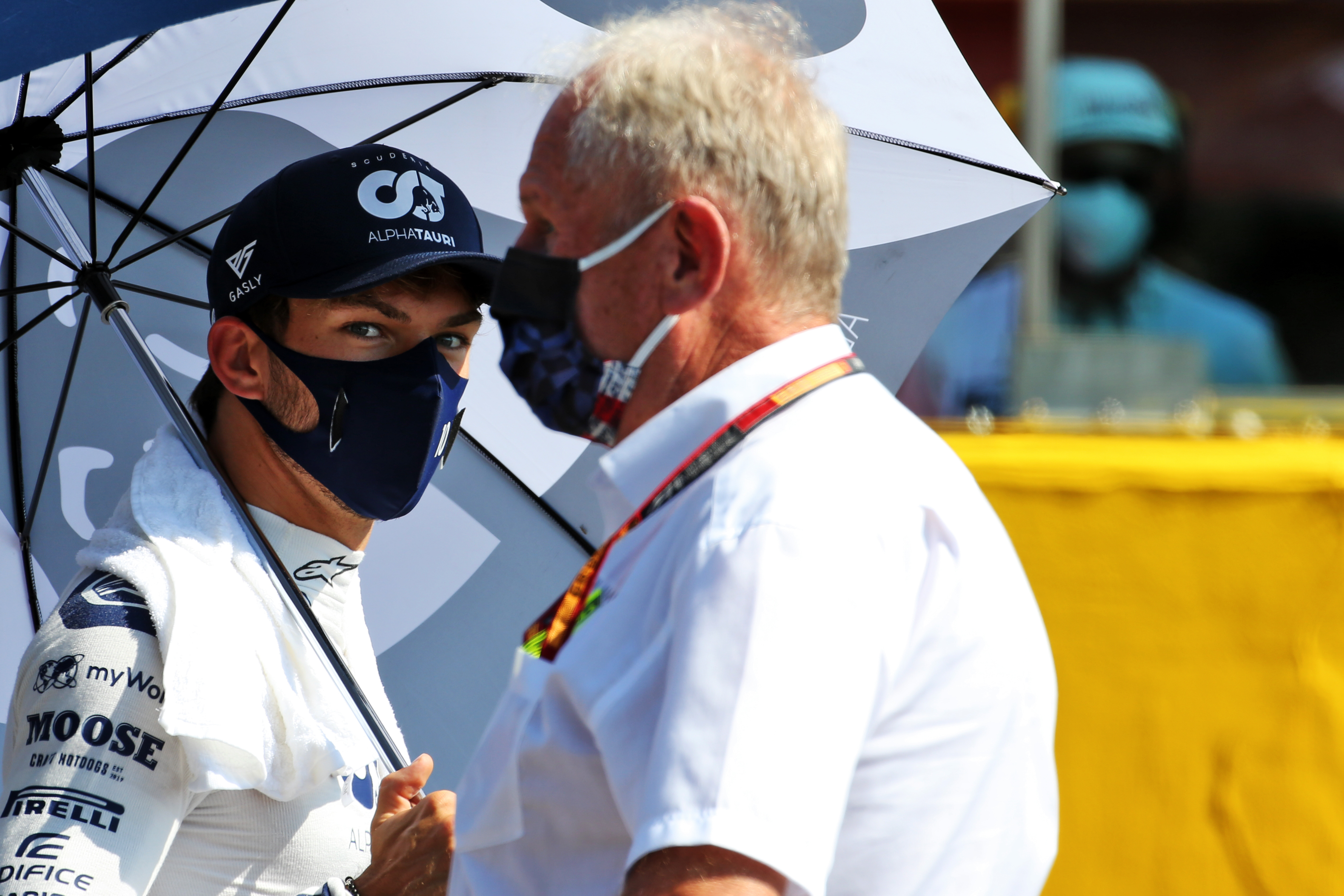 Pierre Gasly, Helmut Marko