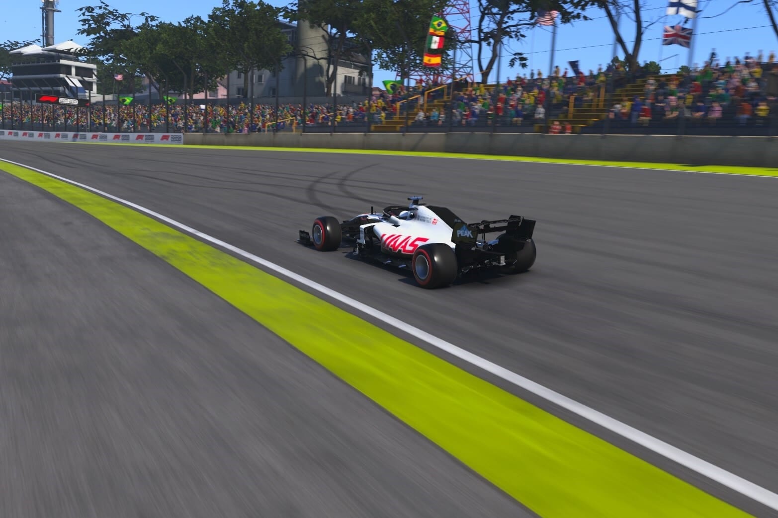 F1 2020 Interlagos Fittipaldi Haas