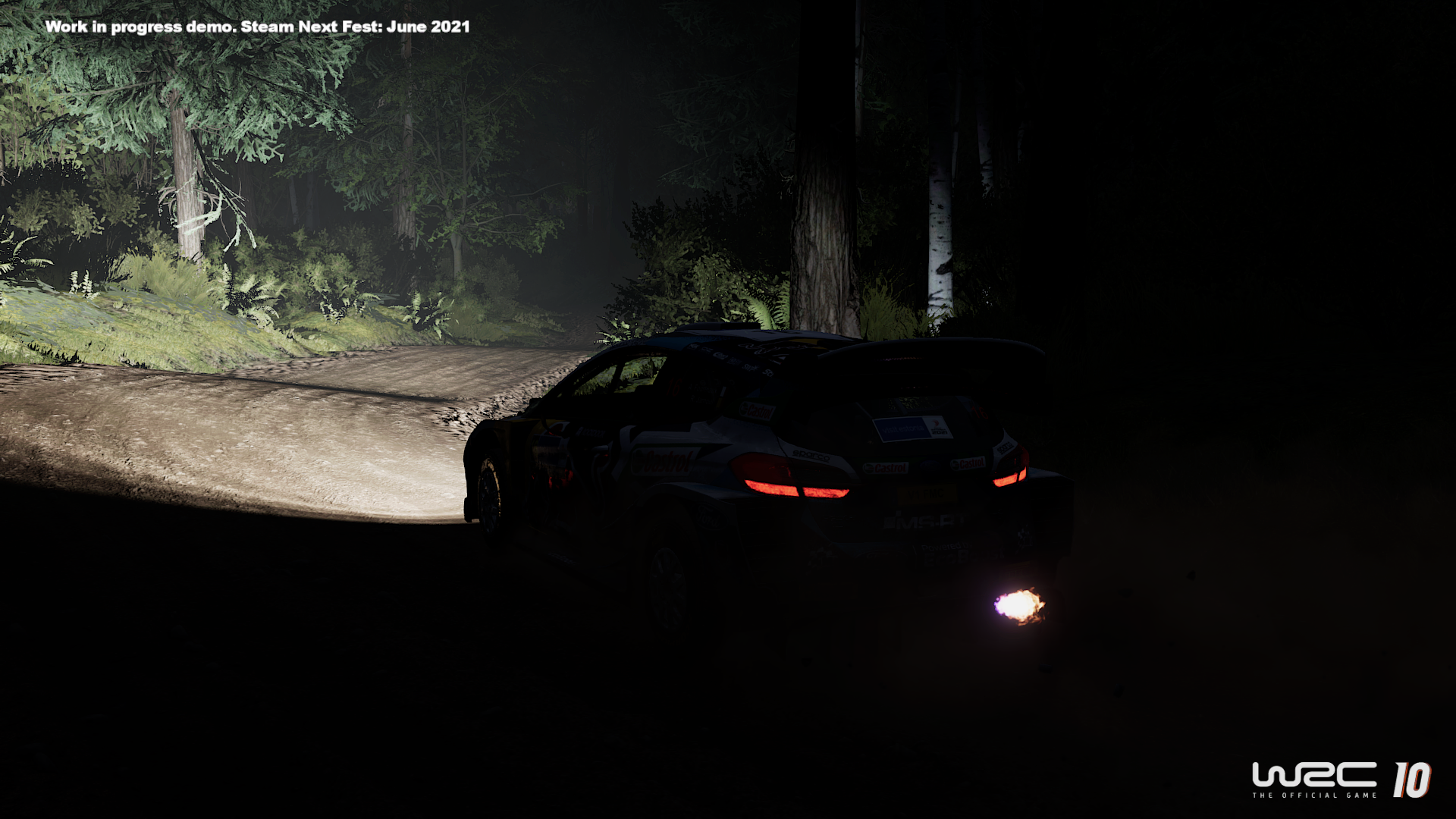 Wrc 10 Preview Estonia Night Ford Pic 3