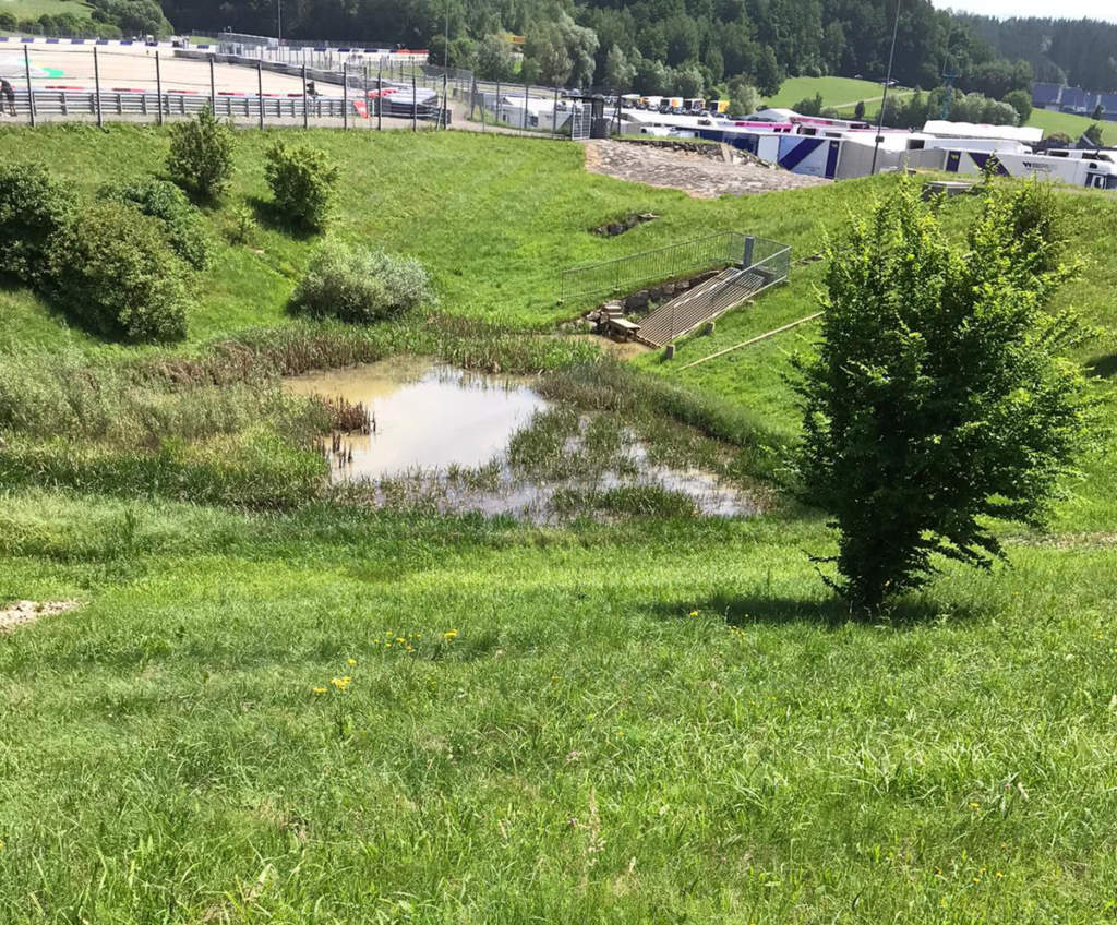 Red Bull Ring marshland