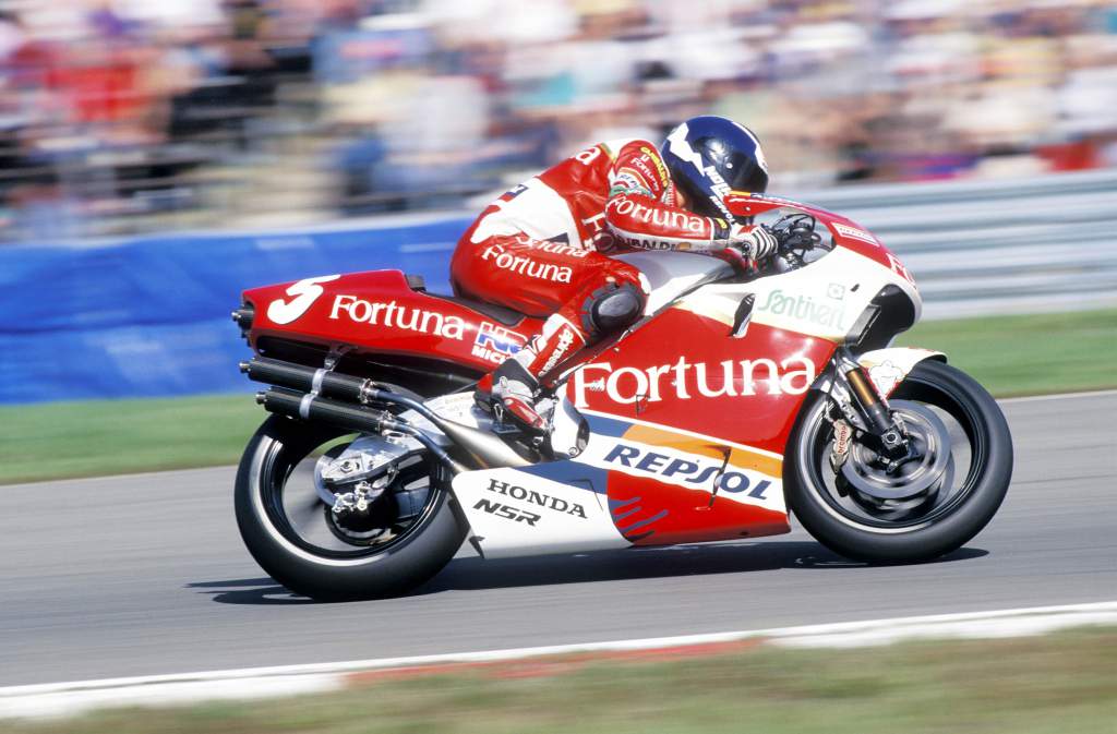 Alberto Puig Assen 500cc 1995