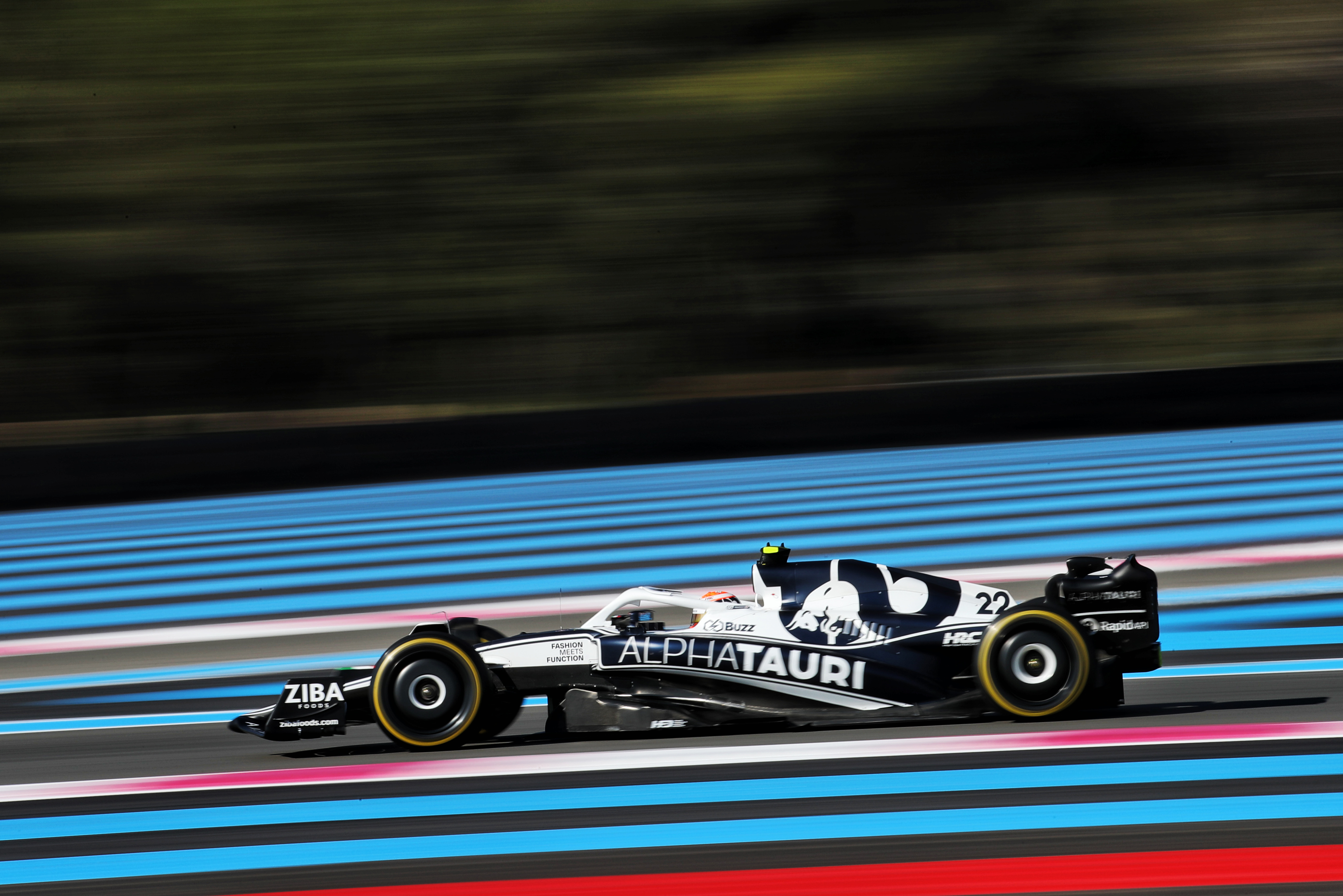 Motor Racing Formula One World Championship French Grand Prix Practice Day Paul Ricard, France