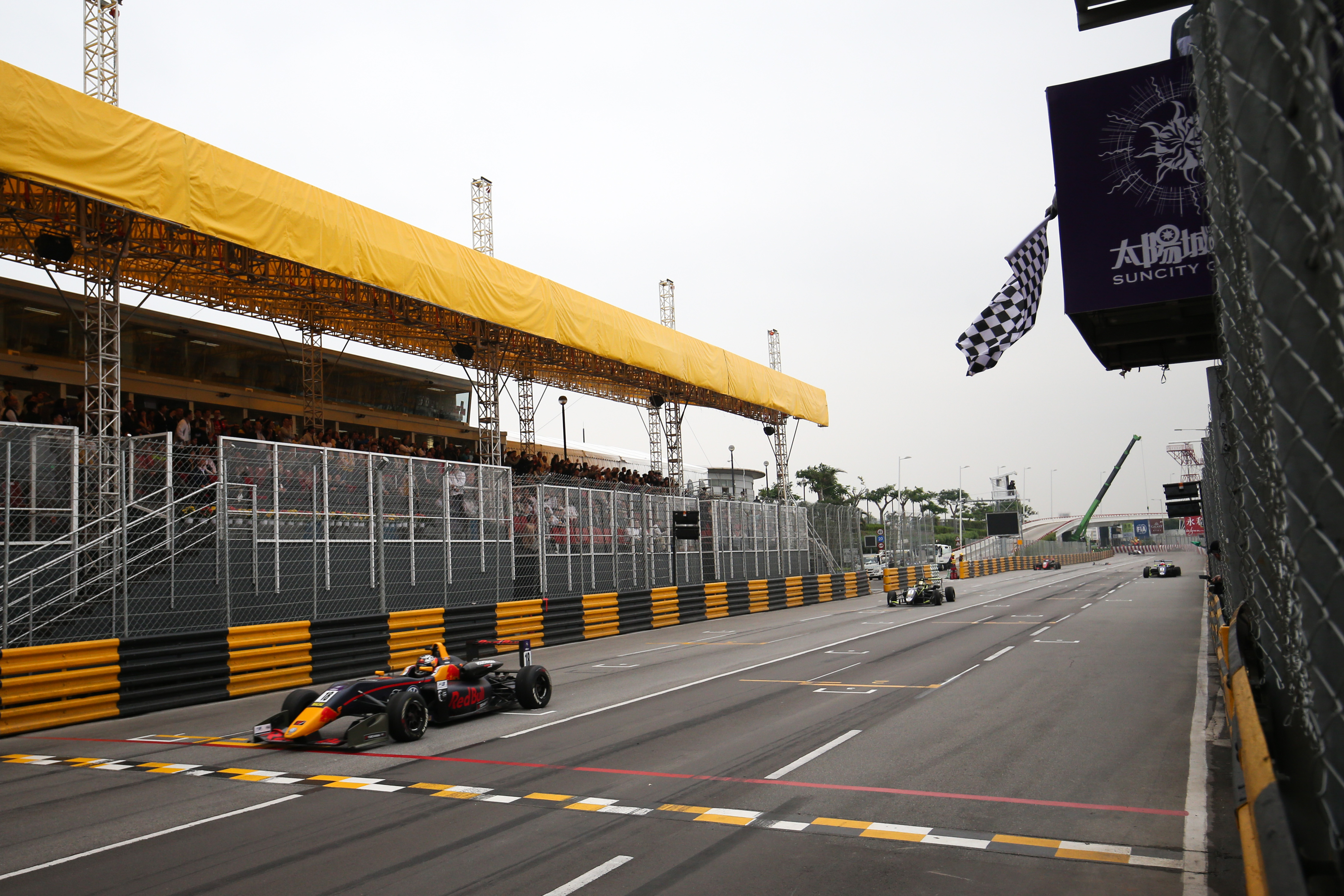 Dan Ticktum Macau GP