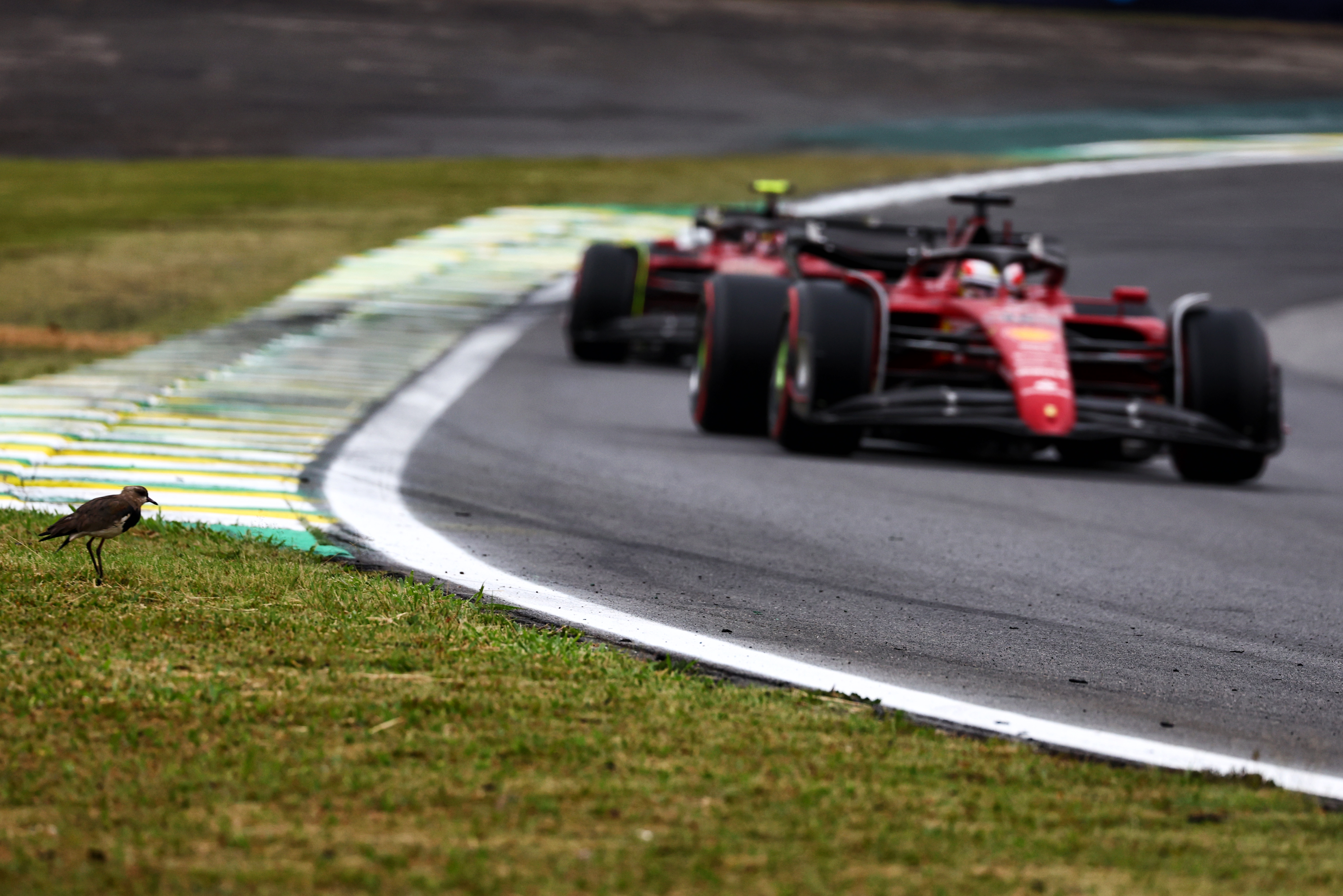 Motor Racing Formula One World Championship Brazilian Grand Prix Qualifying Day Sao Paulo, Brazil