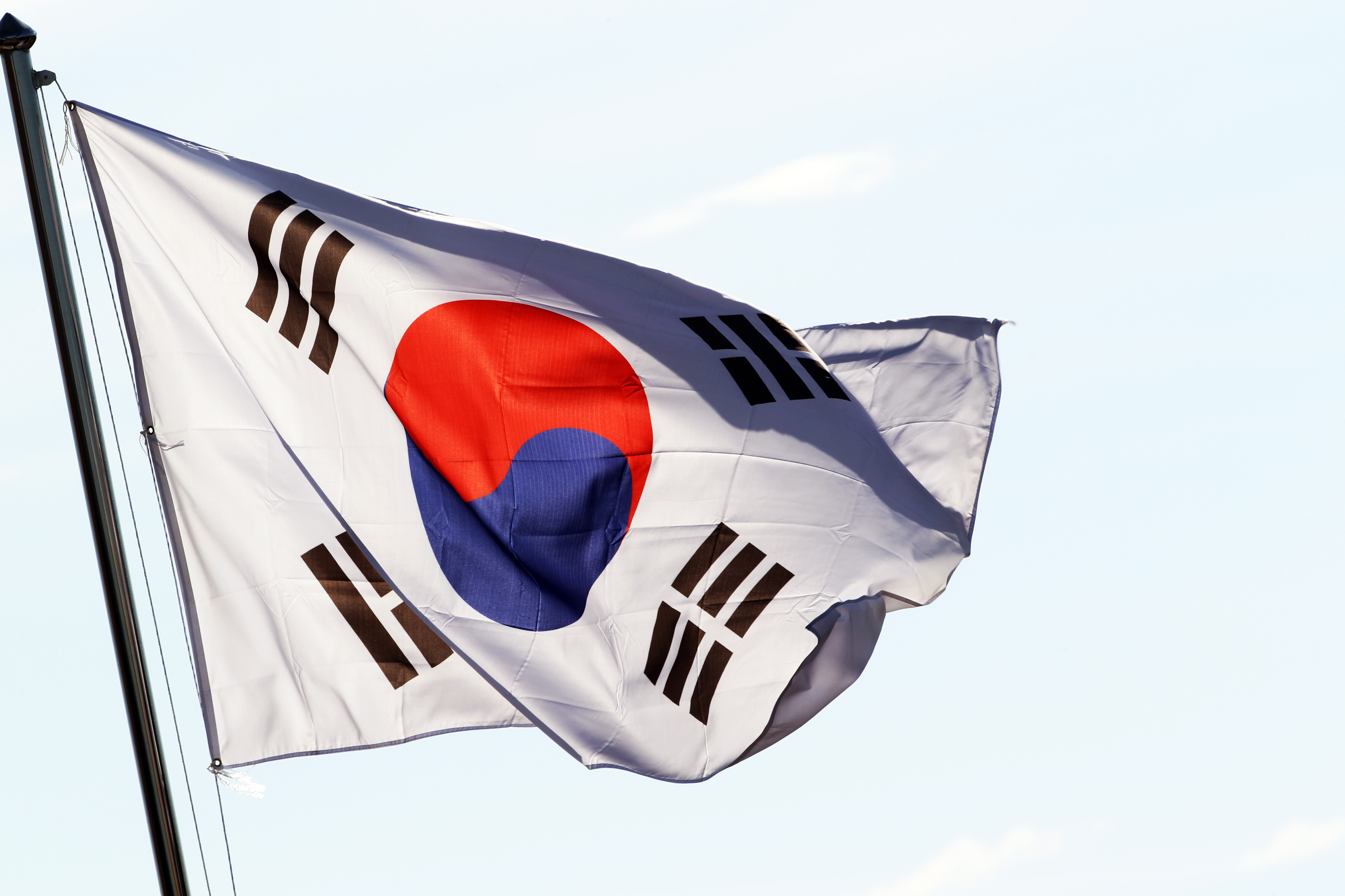 South Korean F1 flag