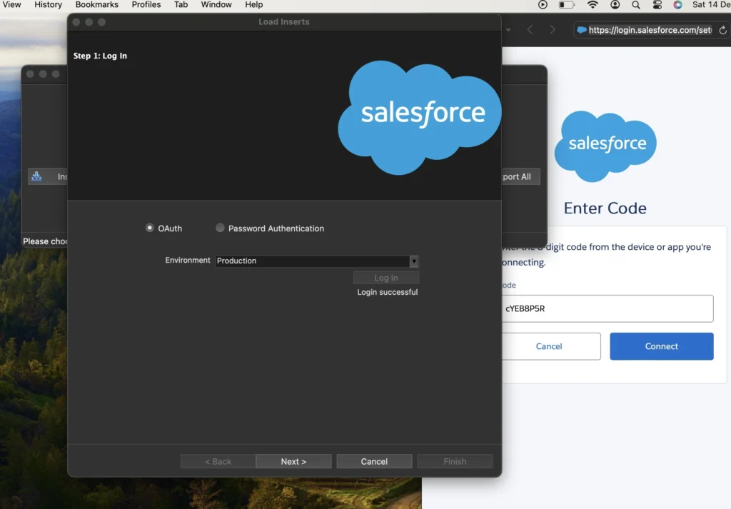 gin successful snapshot