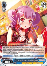 "Private Nurse" Ako Udagawa