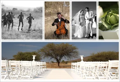 Alternative Wedding Ideas Safari