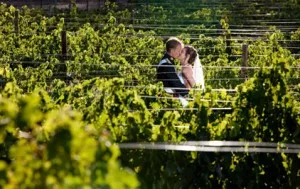 Cape Vineyard wedding