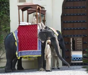 Katy Perry's Wedding