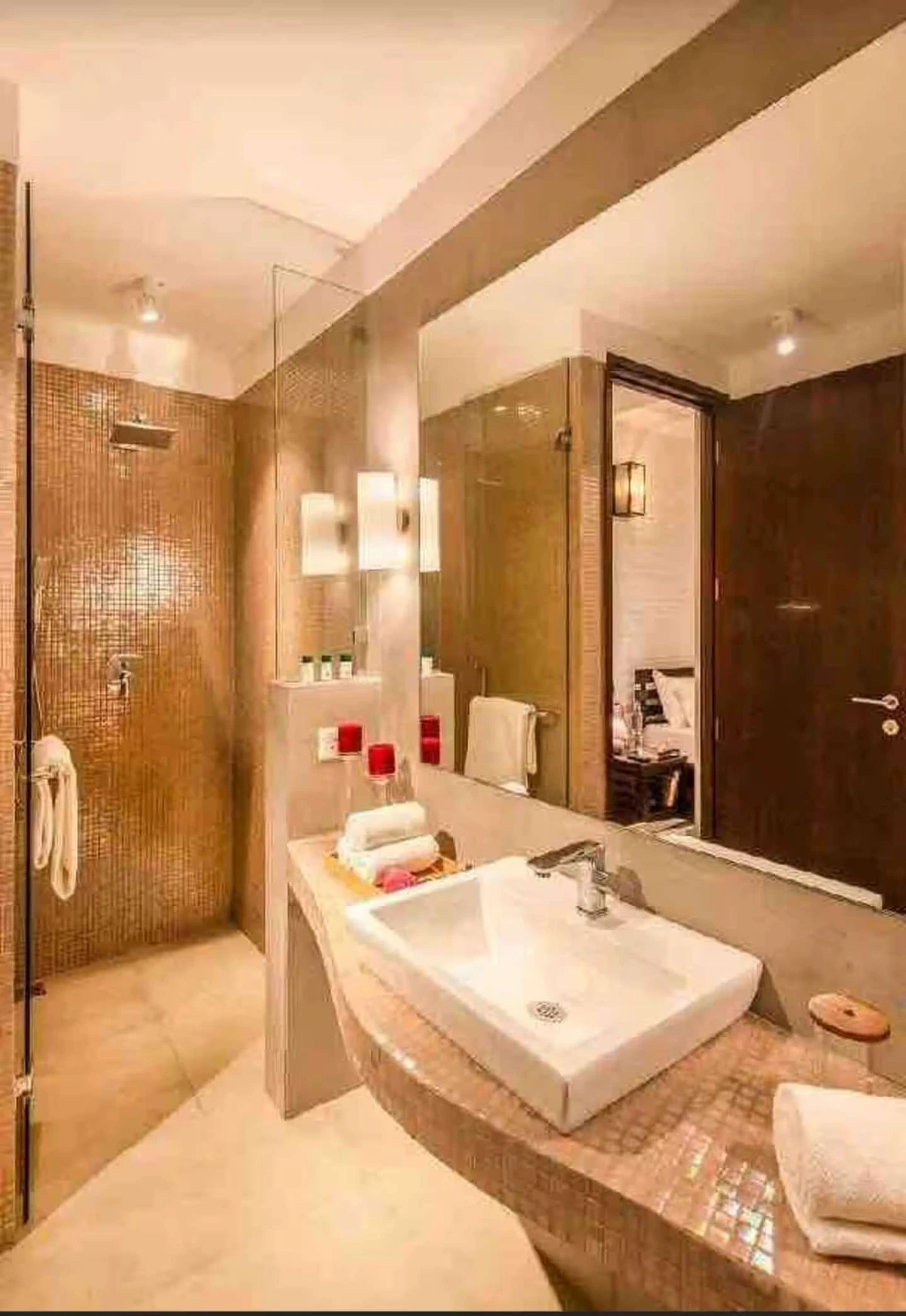 2 BHK Camellia Apartment near Candolim