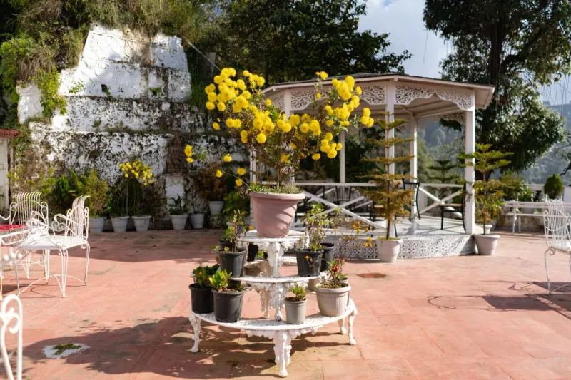 Arvelia Colonial George Everest - Luxe