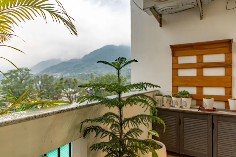 Tranquil Peaks Penthouse - Dehradun Mussoorie Road