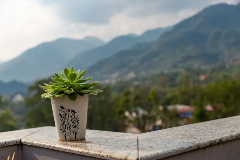 Tranquil Peaks Penthouse - Dehradun Mussoorie Road