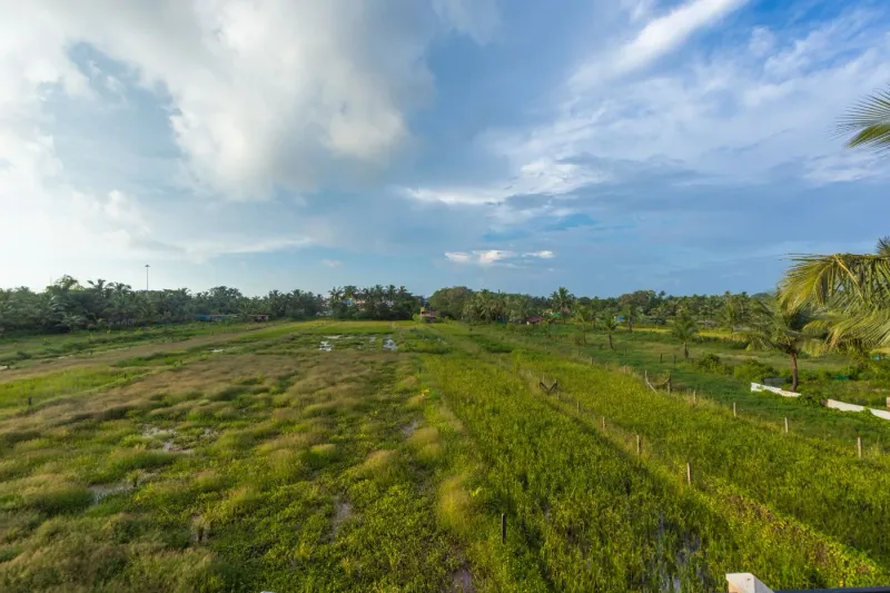 Tranquil 1BHK suite Pool+Field Calangute Da Alohas